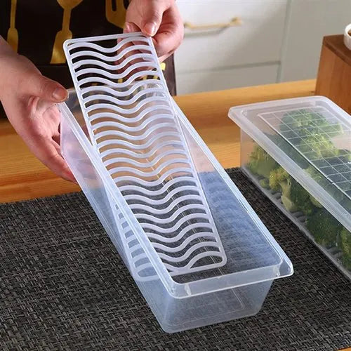 Fridge Storage Containers with Drain Plate